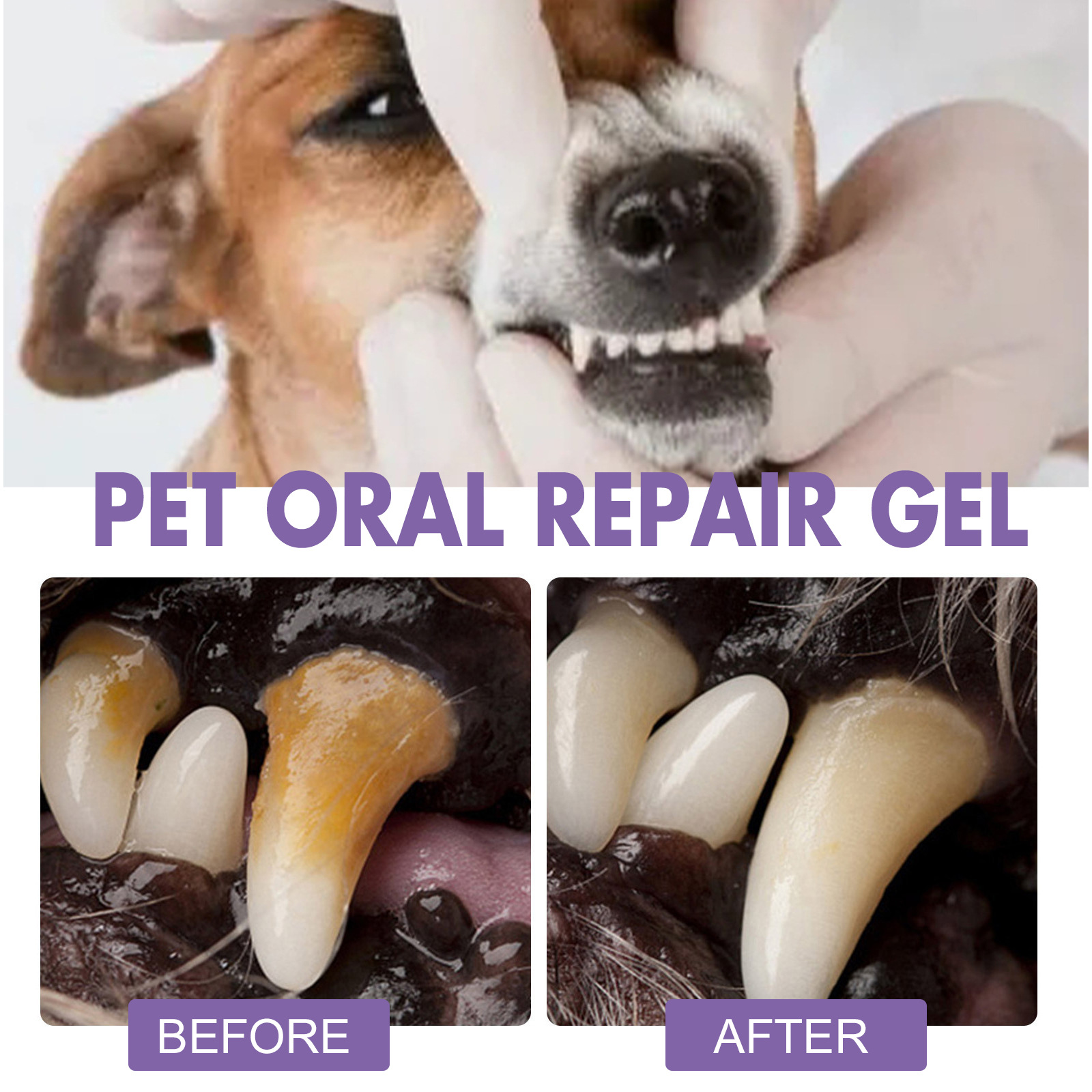 Pet Oral Repair Gel Puppy Tart - Teeth Whitening Cream 评论和价格
